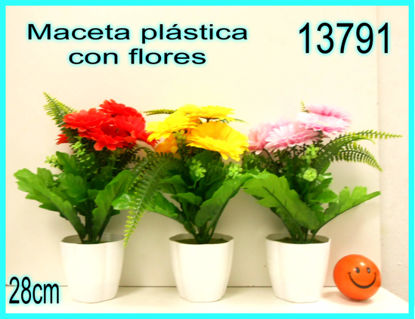 Imagen de MACETAS CON FLORES 28CM 4.24